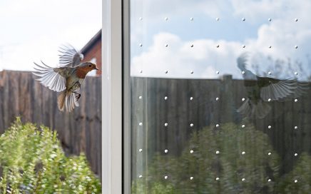 Bird protection on glas and windows